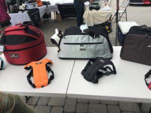 Lexus Pet Safety Event with A Girls Guide to Cars