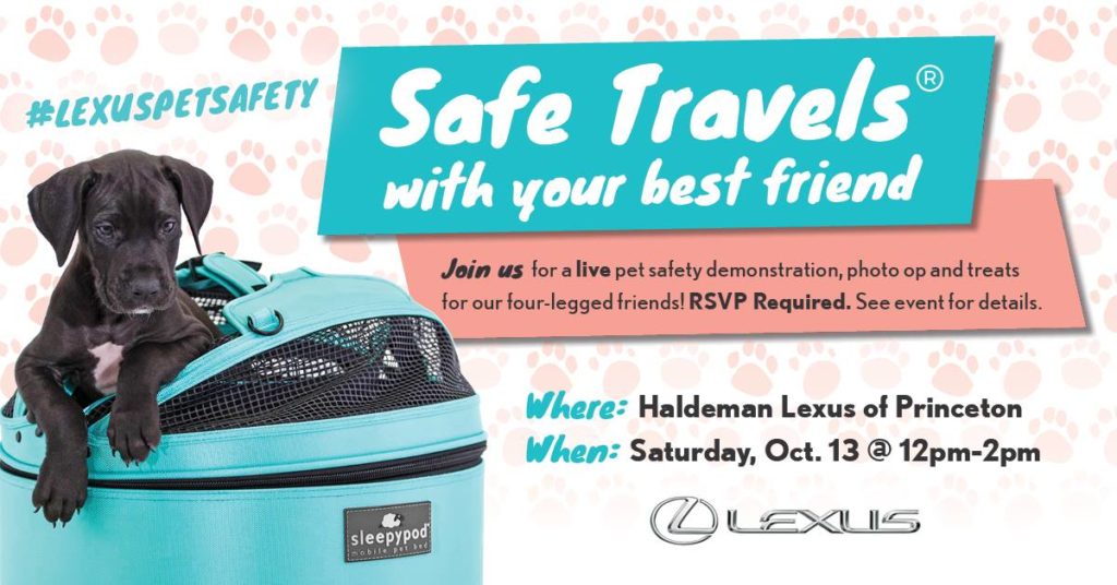 Lexus Pet Safety Event with A Girls Guide to Cars