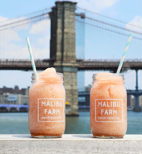 Malibu Farm Presents: Farm Stand and Petting Zoo at Pier 17