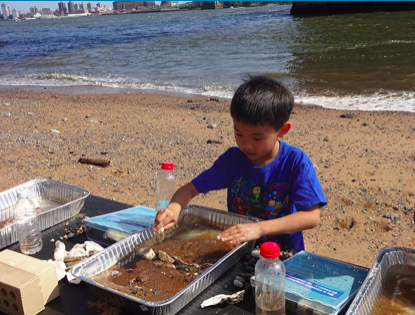 Climate Science on the Sand in Lower Manhattan