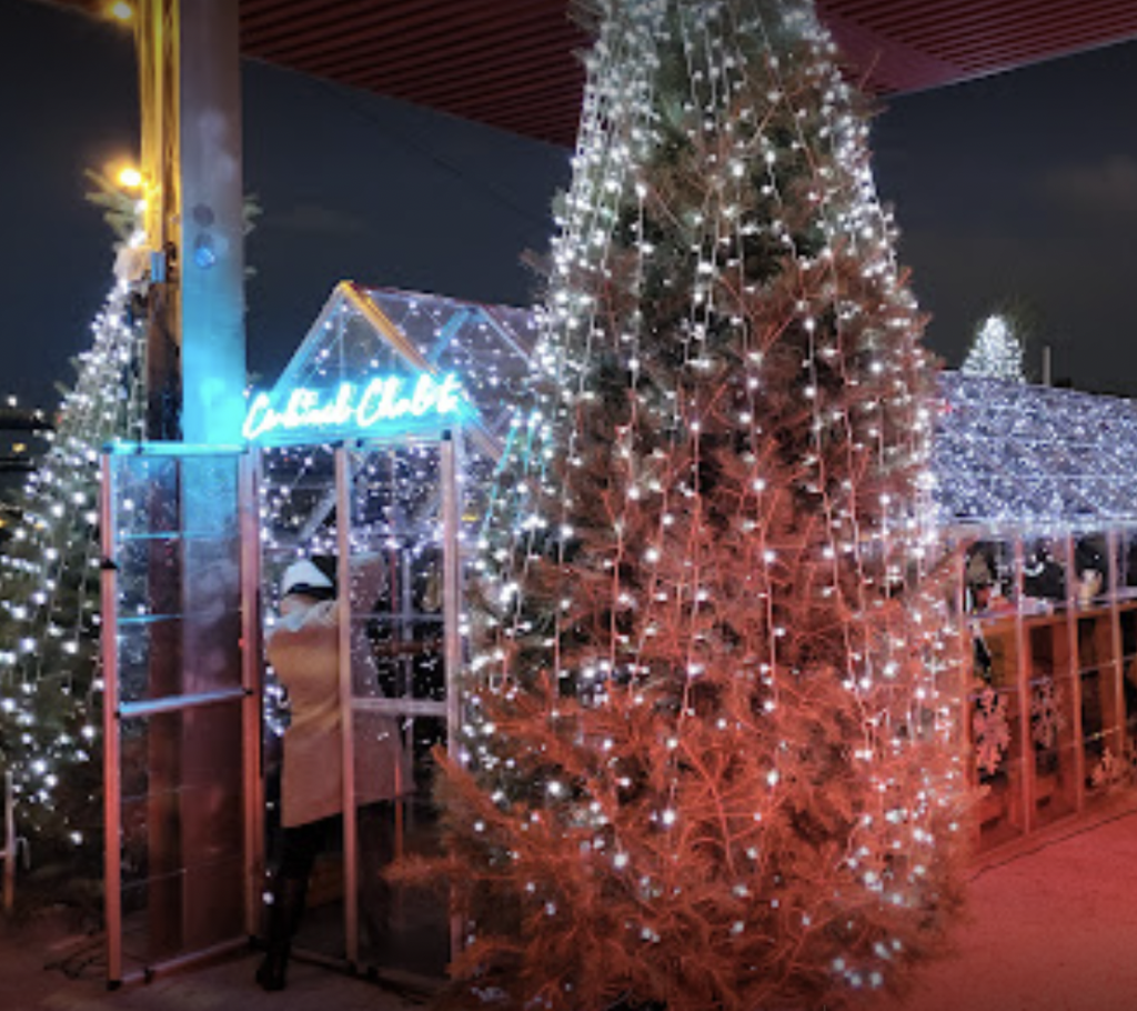 Christmas tree and holiday light decorations at Watermark